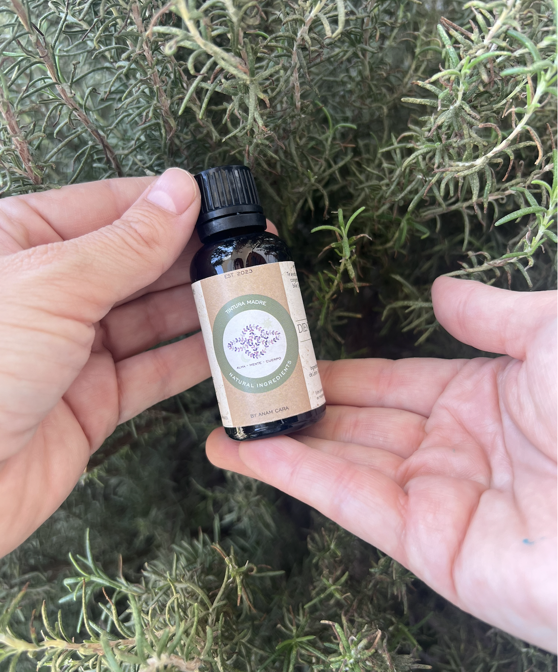 Tintura madre Diente de león